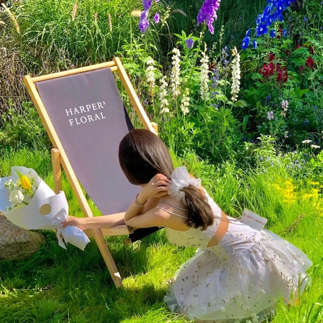 蒂姆与时间悖论